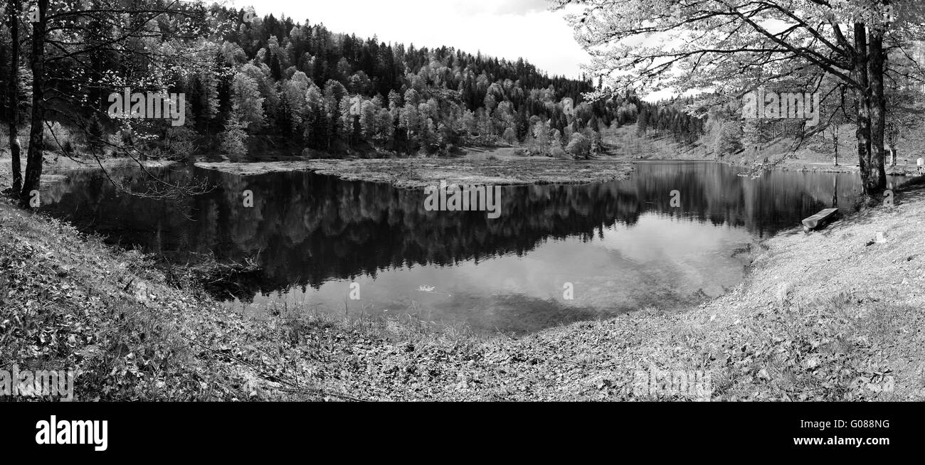 Nonnenmattweiher panoramica della Foresta Nera in Germania Foto Stock