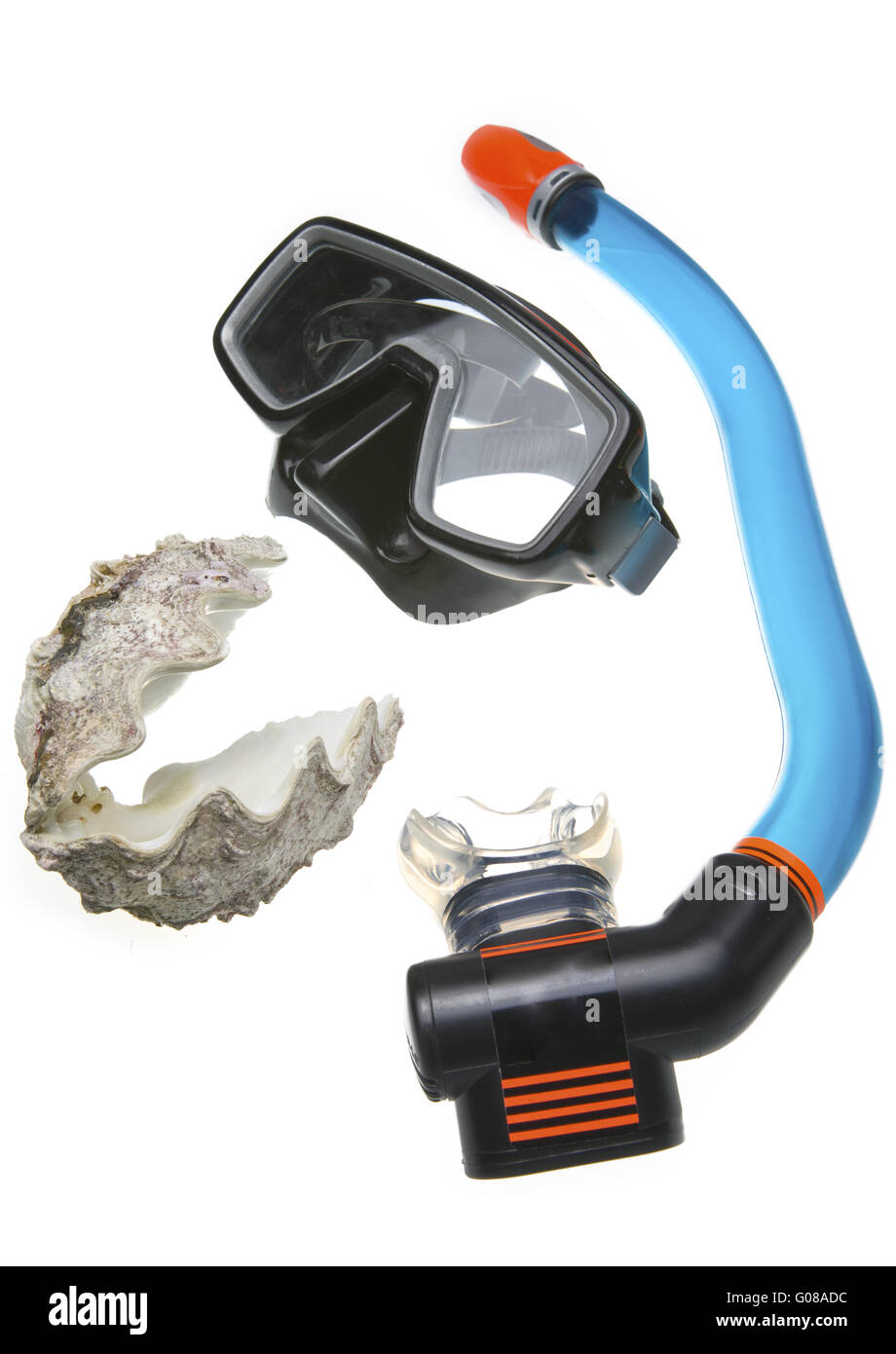 Tubo per immersioni subacquee (snorkel), grande conchiglia di mare e maschera Foto Stock