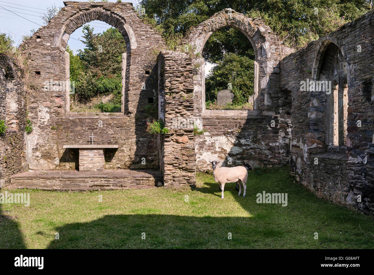 Sant'Andrea Chiesa, South Huish, Devon, Regno Unito. Una rovina 13c chiesa nella cura della carità degli amici di Friendless chiese Foto Stock