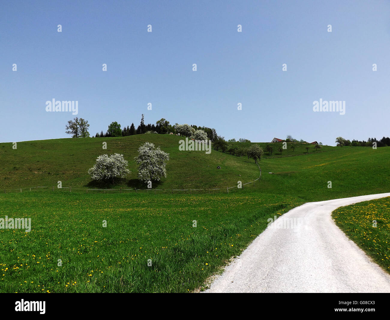 Paesaggio idilliaco Foto Stock