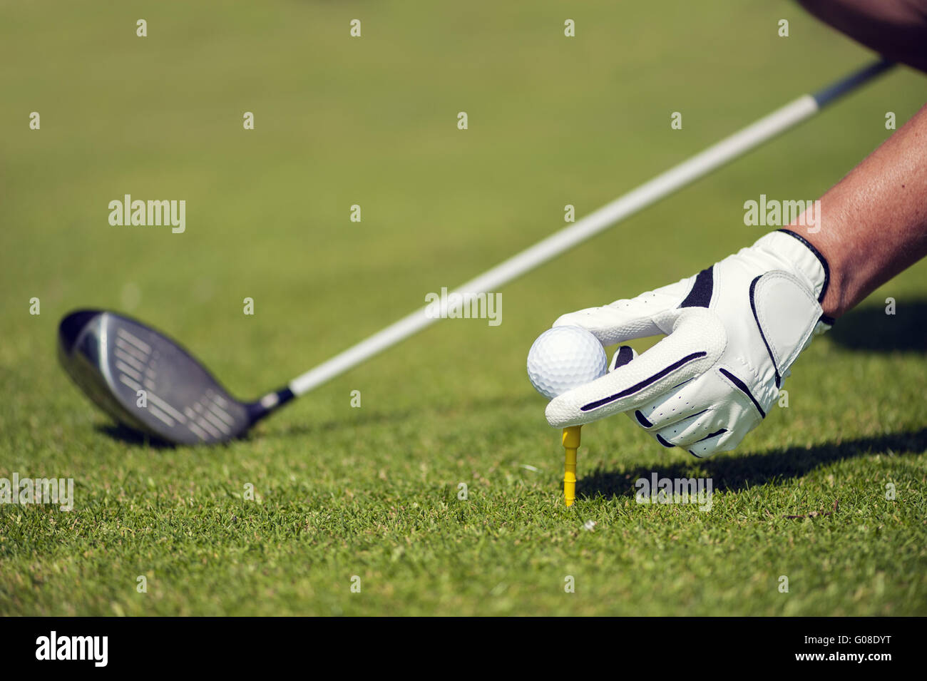 Mani con guanti mettendo una pallina da golf su un raccordo a T Foto Stock