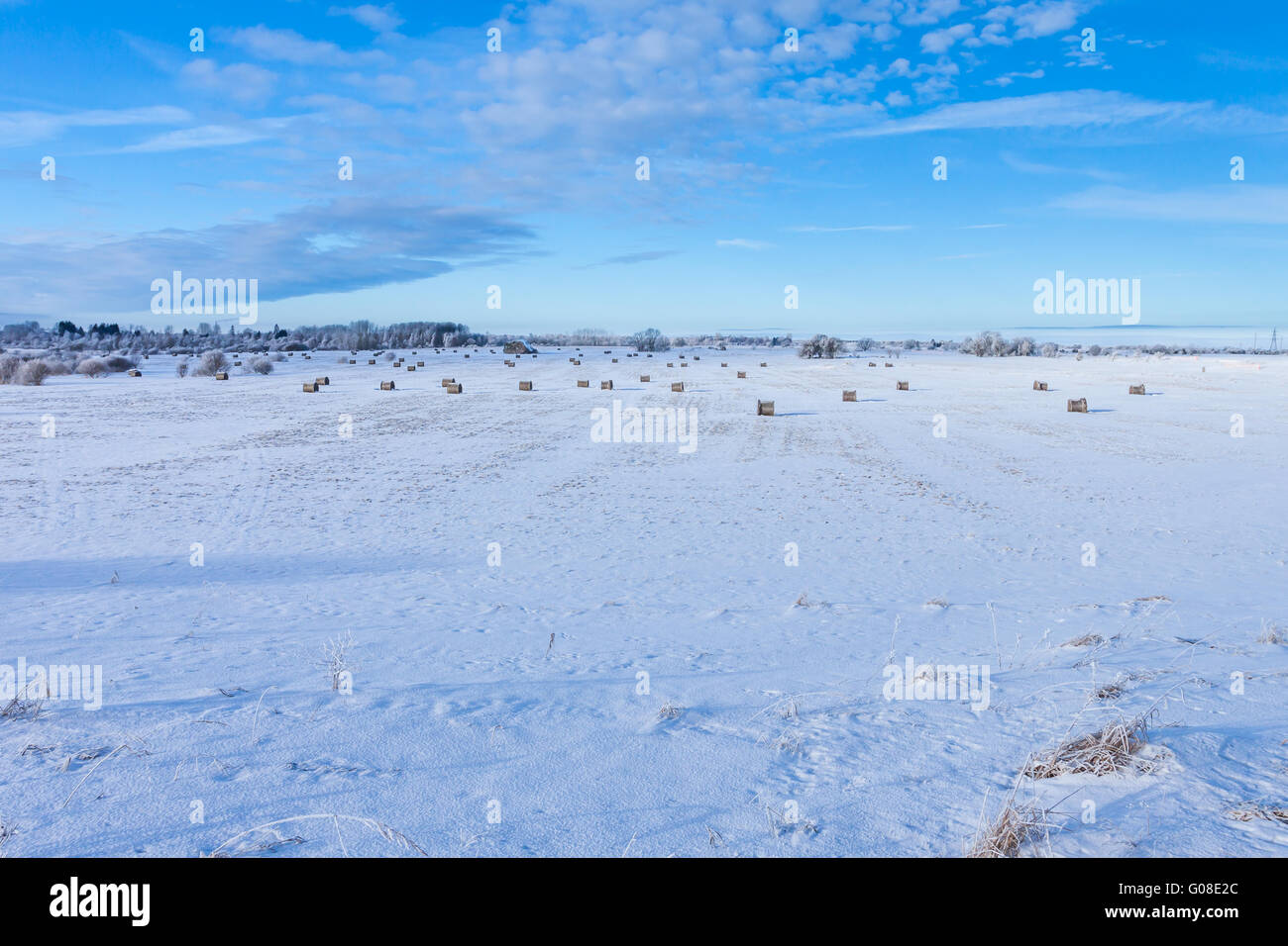 Inverno farmland scenario Foto Stock