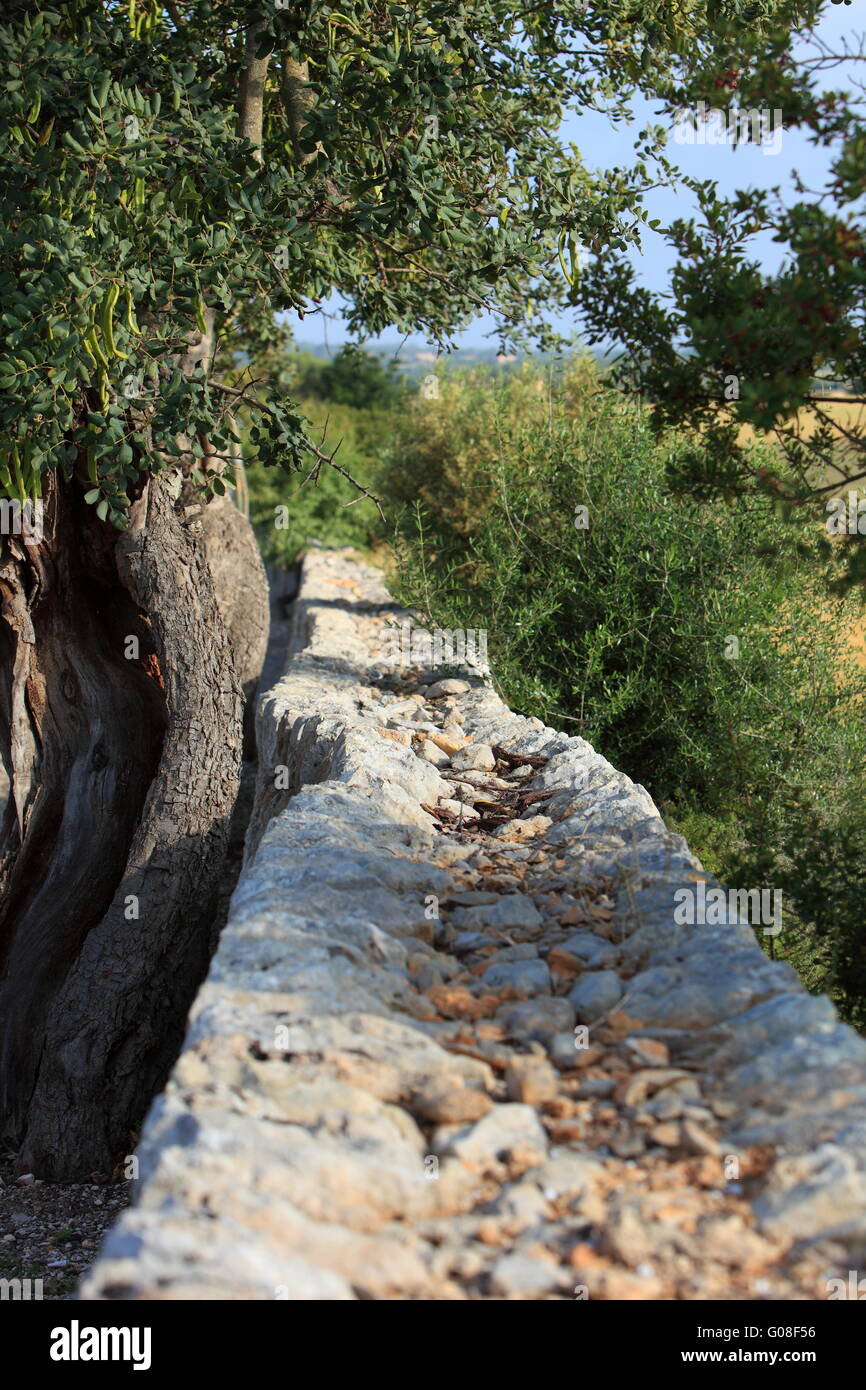 Rustico vecchio muro di pietra Foto Stock