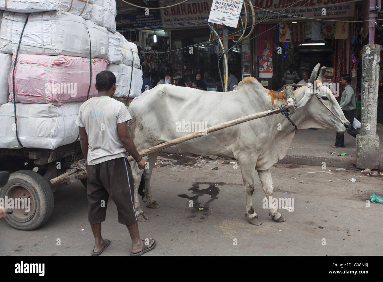 Carrozza di vacca con molti pacchetti, Dehli, India Foto Stock