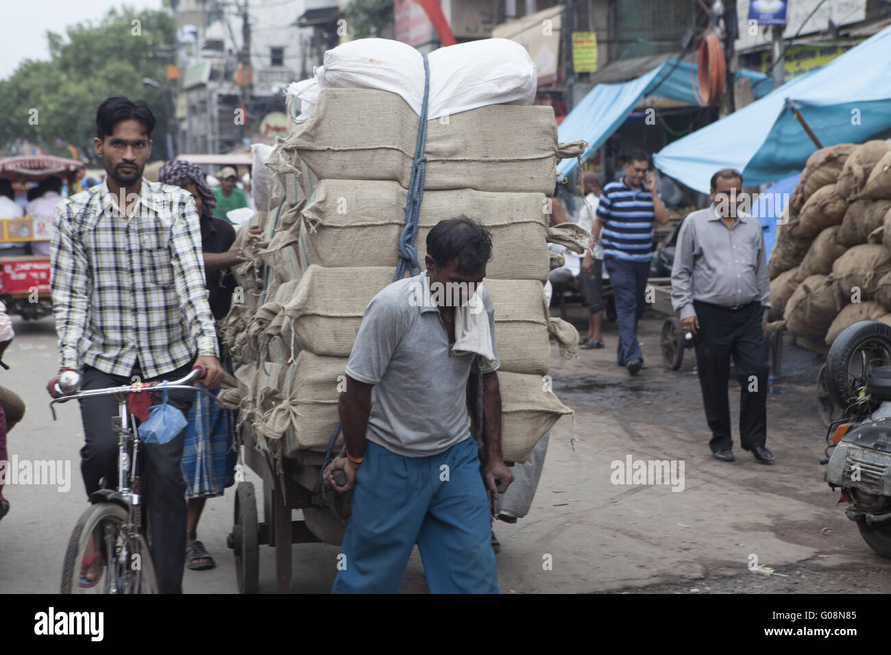 Indian trasporta i pacchetti su carrello, Dehli, India Foto Stock