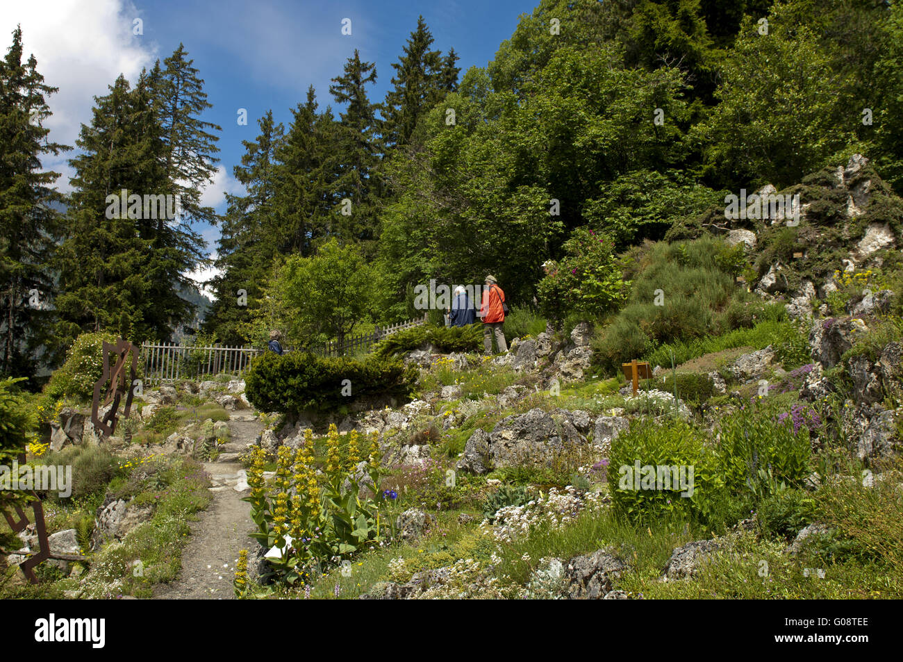 Giardino botanico Flore-Alpe, Chamex-Lac, Vallese Foto Stock