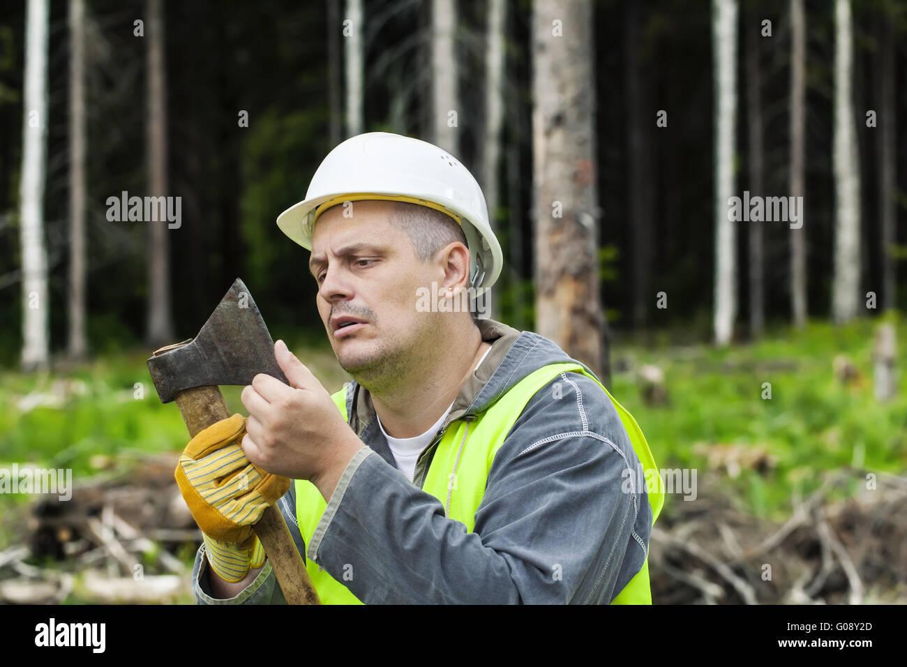 Lumberjack ax controllo nitidezza nella foresta Foto Stock