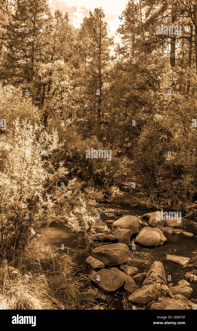 Look Vintage foto di Jemez fiume nel Nuovo Messico Foto Stock