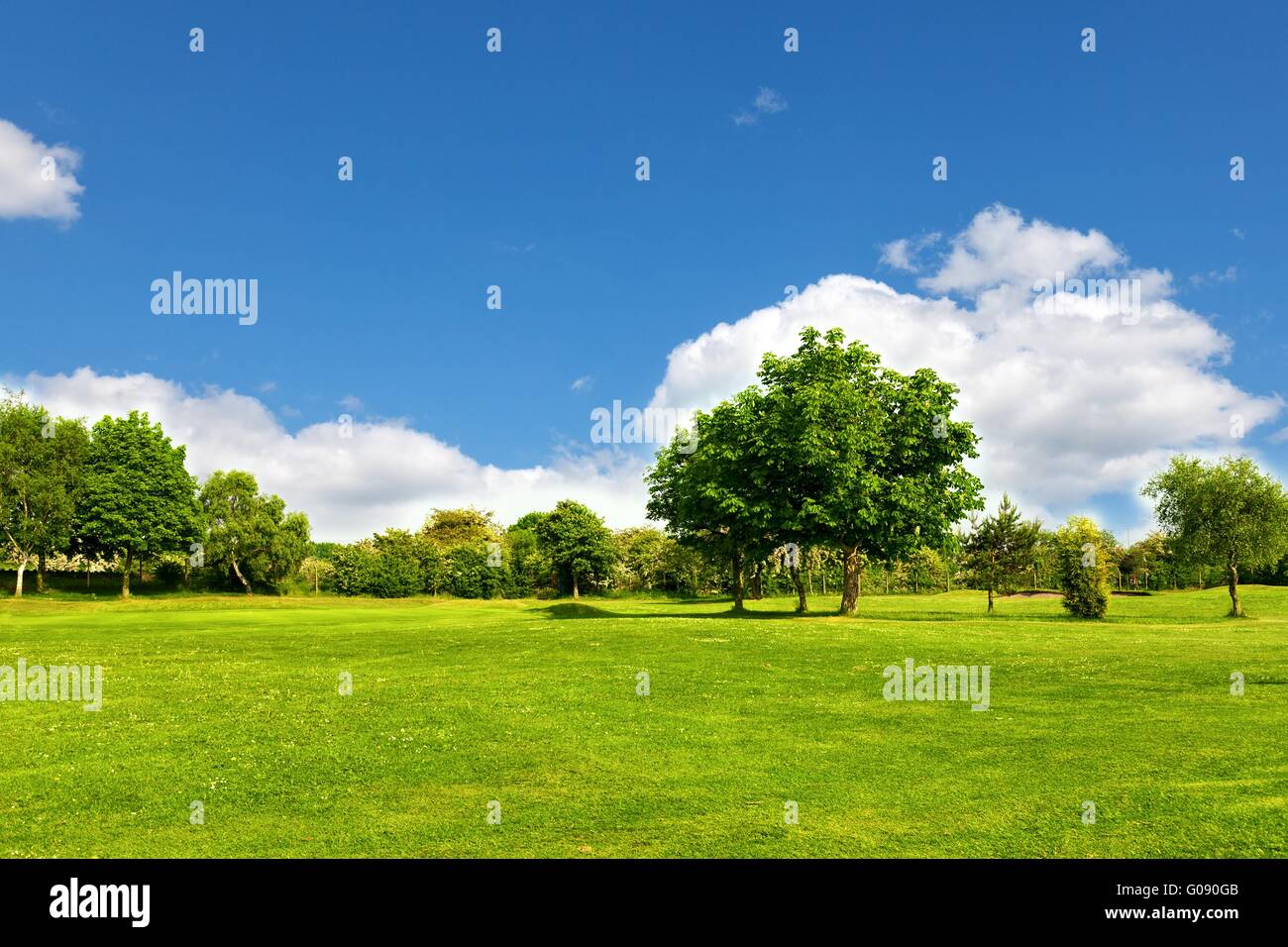 Paesaggio di golf Foto Stock