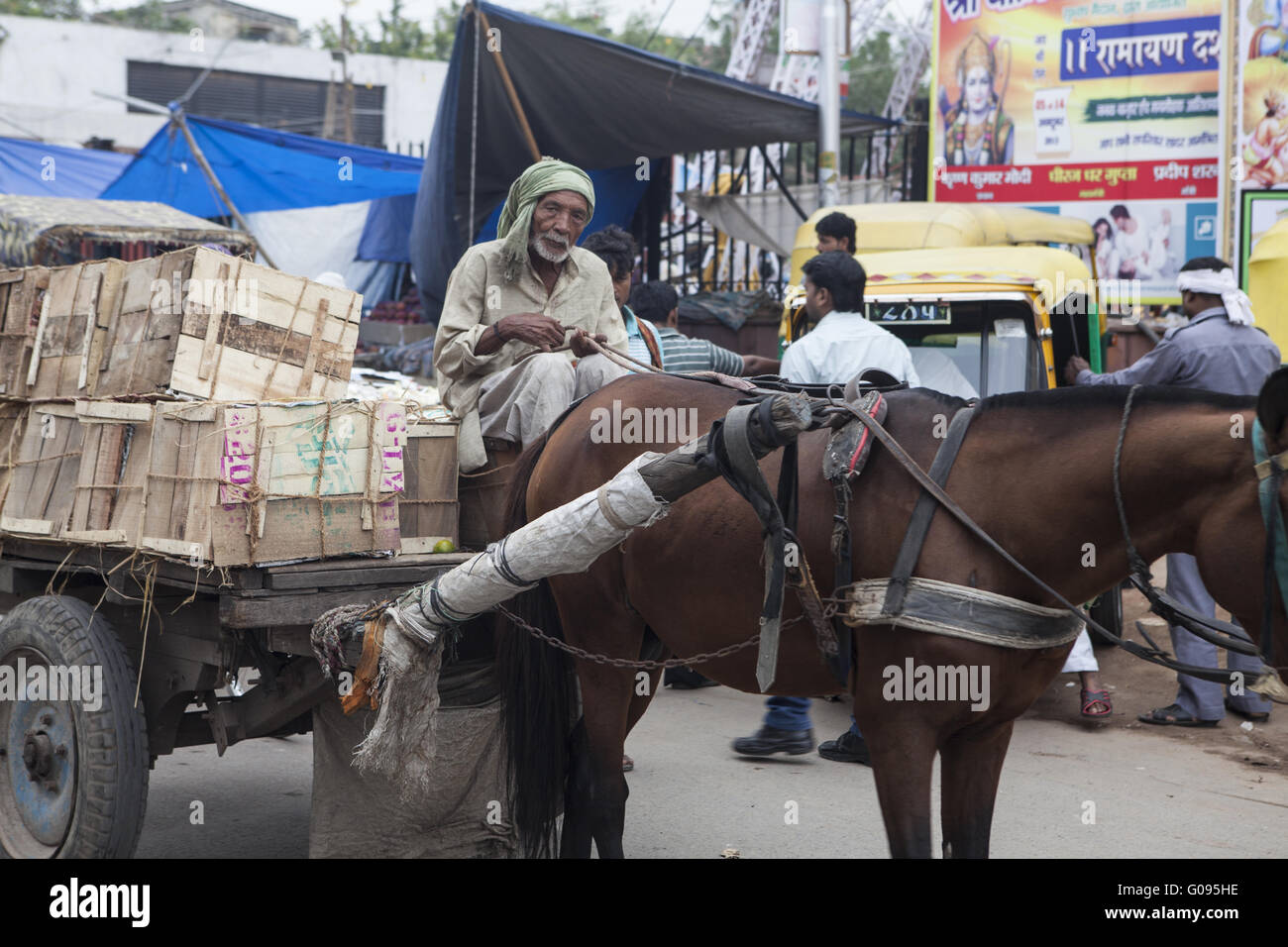 Il vecchio uomo con carrozza a cavallo, Old-Dehli, India Foto Stock
