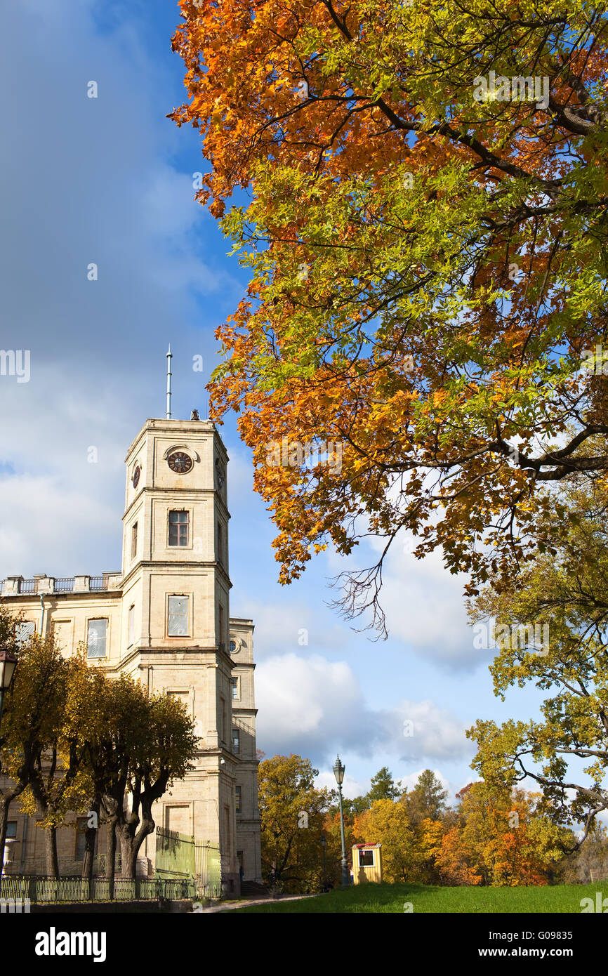 Gatchina, bright autumn tree nel parco vicino a Palace Foto Stock