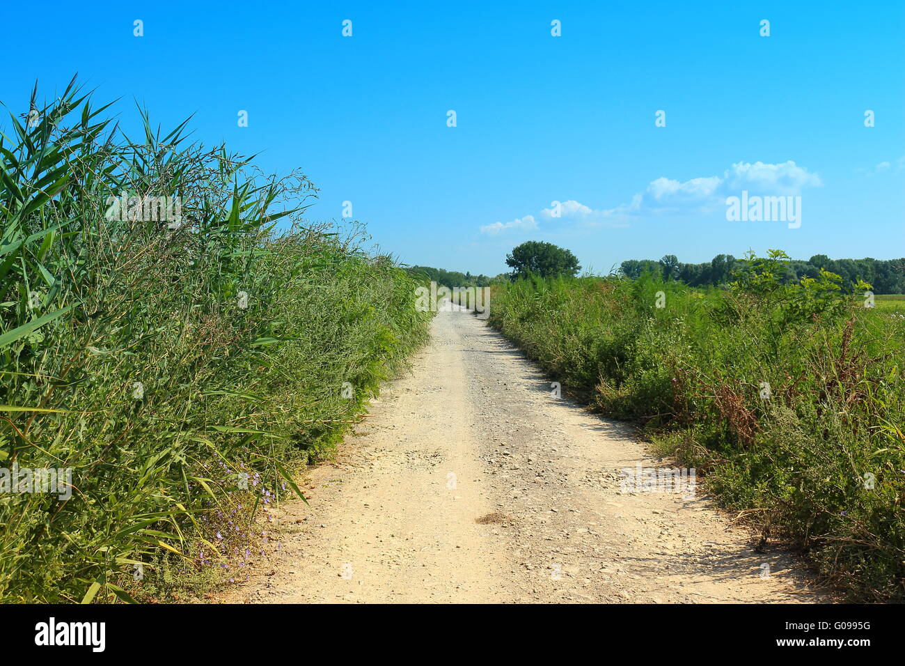 La strada senza fine Foto Stock