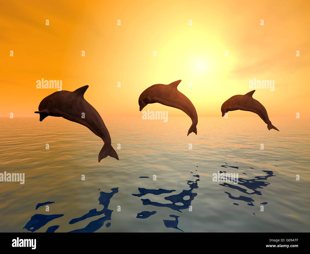 Saltare i delfini Foto Stock