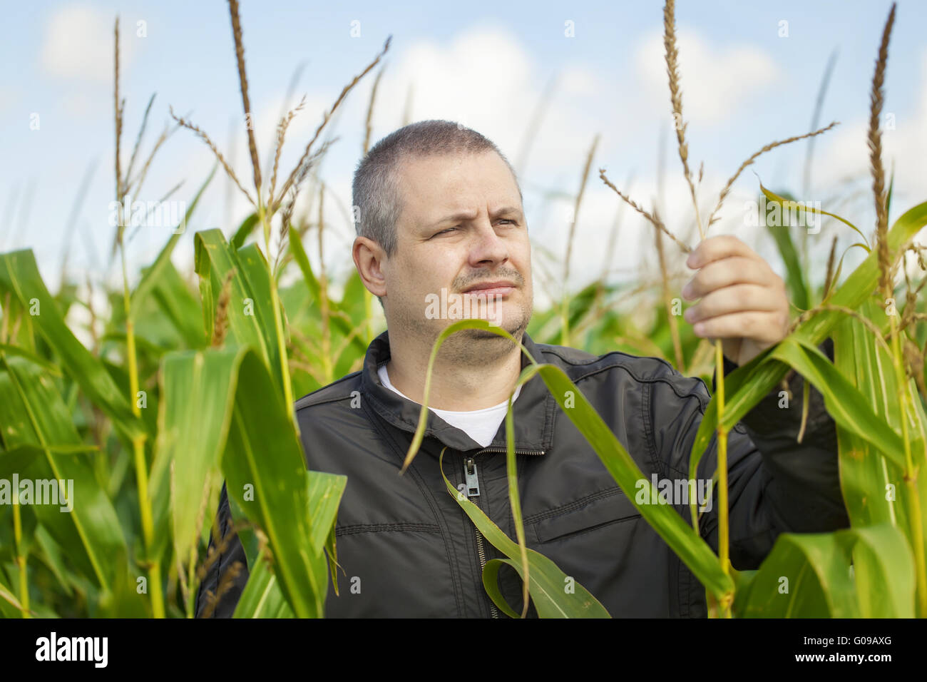 Imprenditore nel campo di grano Foto Stock
