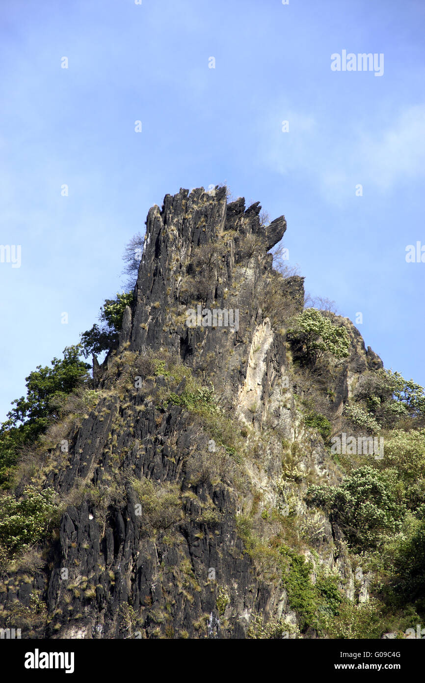 Paesaggio con vigneti sotto il Drachenfels, Ko Foto Stock