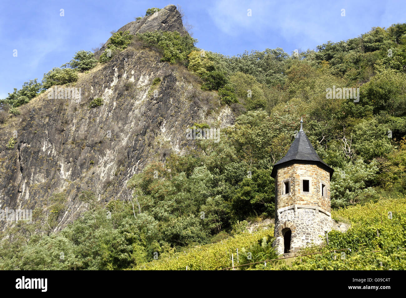 Paesaggio con vigneti sotto il Drachenfels, Ko Foto Stock