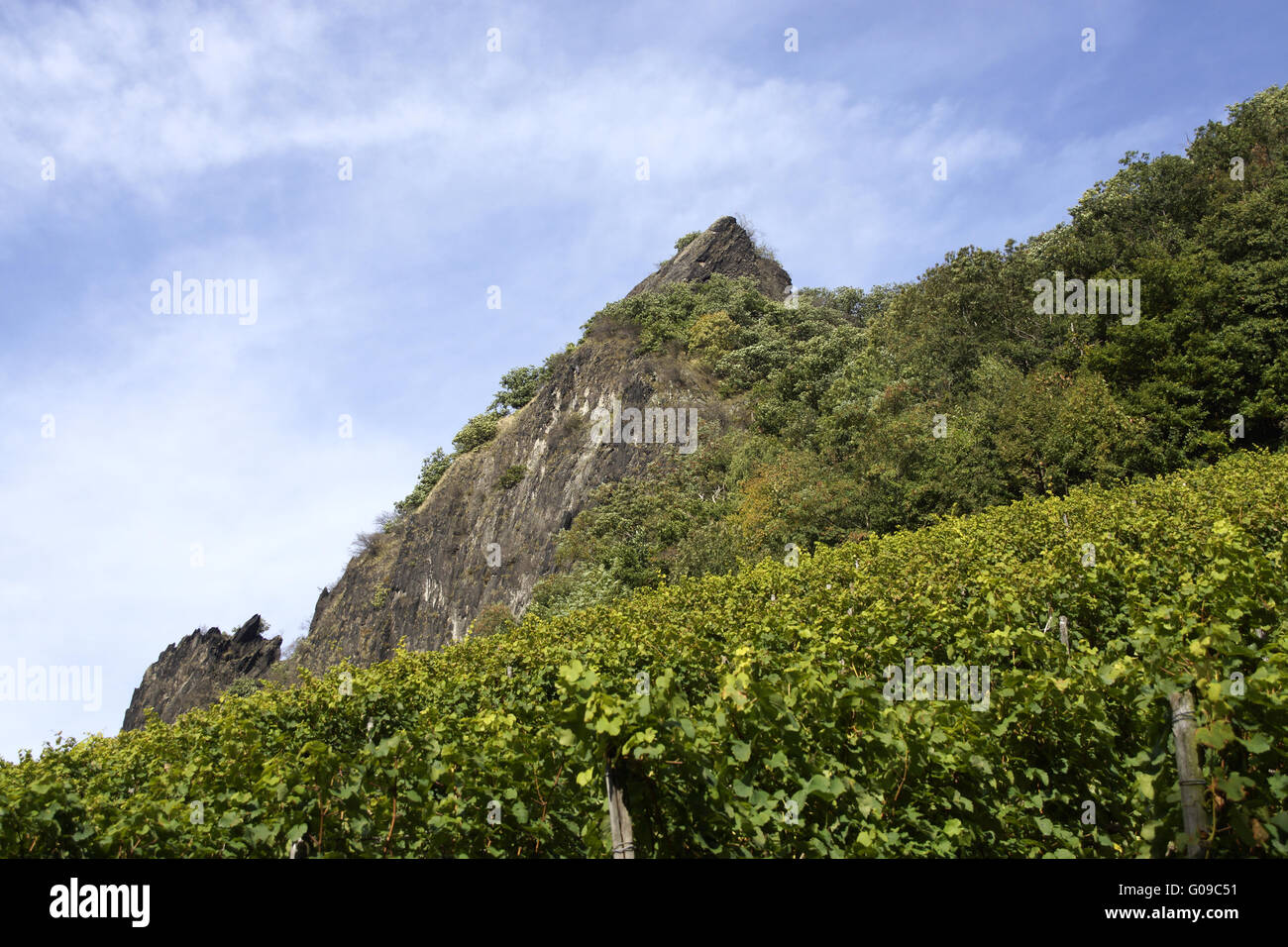 Paesaggio con vigneti sotto il Drachenfels, Ko Foto Stock