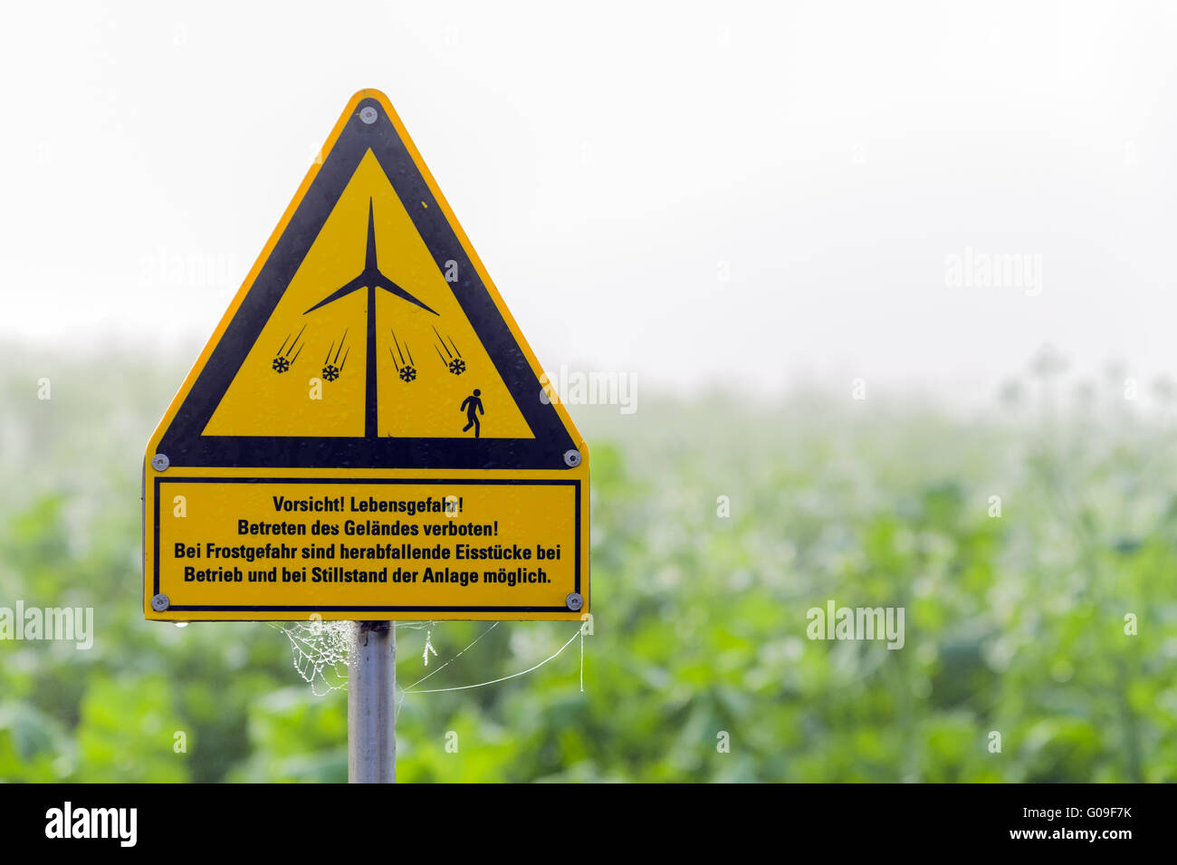 Cartello giallo con un avvertimento da battenti pezzetti di io Foto Stock