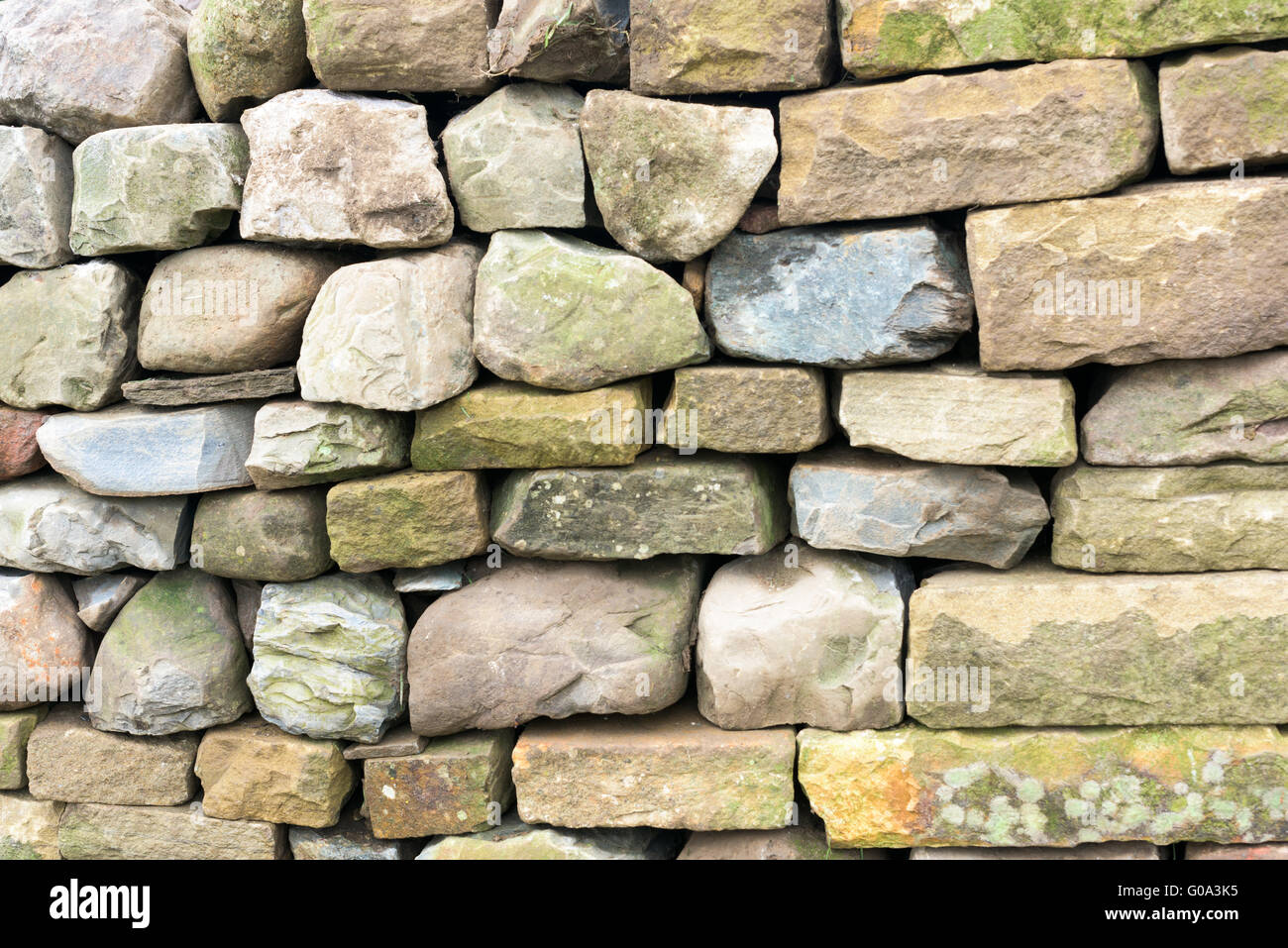 Asciugare la parete di pietra - close up Foto Stock