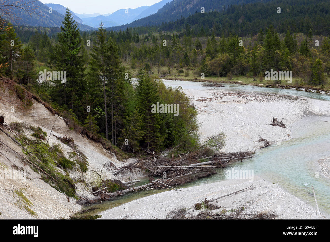 Paesaggio fluviale selvaggio della tomaia Isar, Bavaria Foto Stock