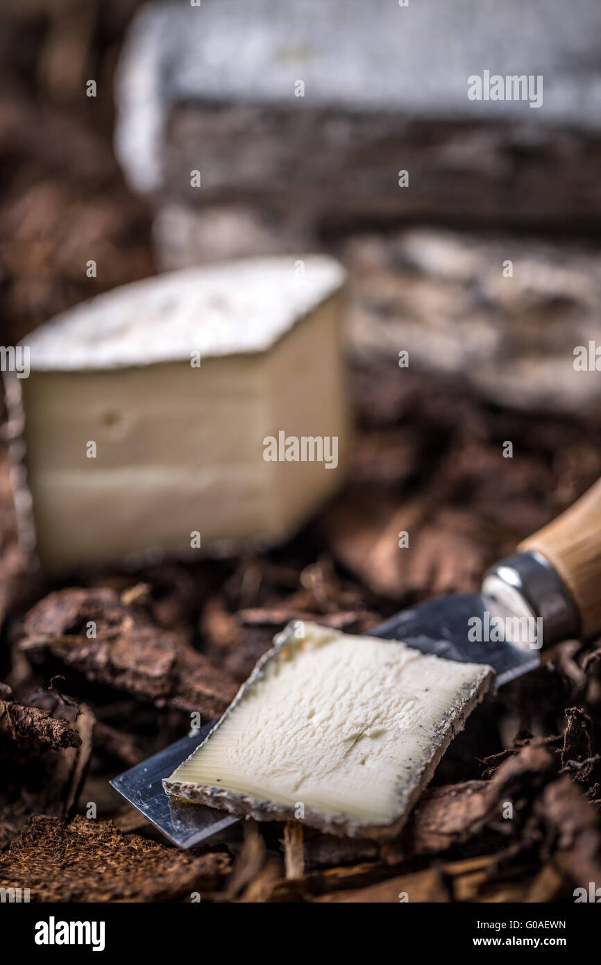 Fetta di brie artigianale di crema di formaggio Foto Stock