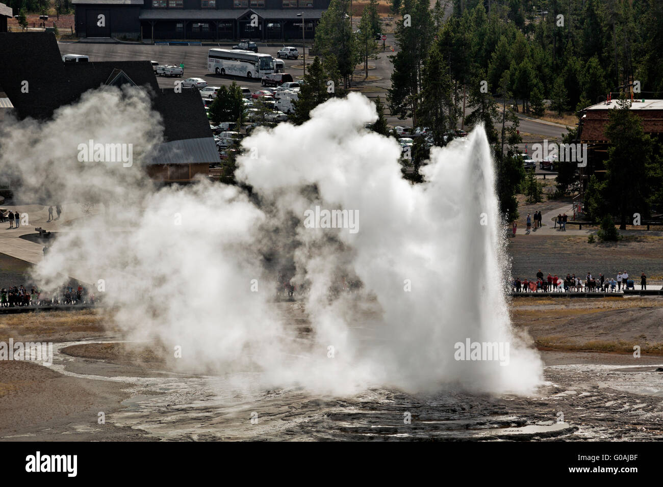 WY01597-00...WYOMING - geyser Old Faithful dal punto di osservazione in Upper Geyser Basin del Parco Nazionale di Yellowstone. Foto Stock