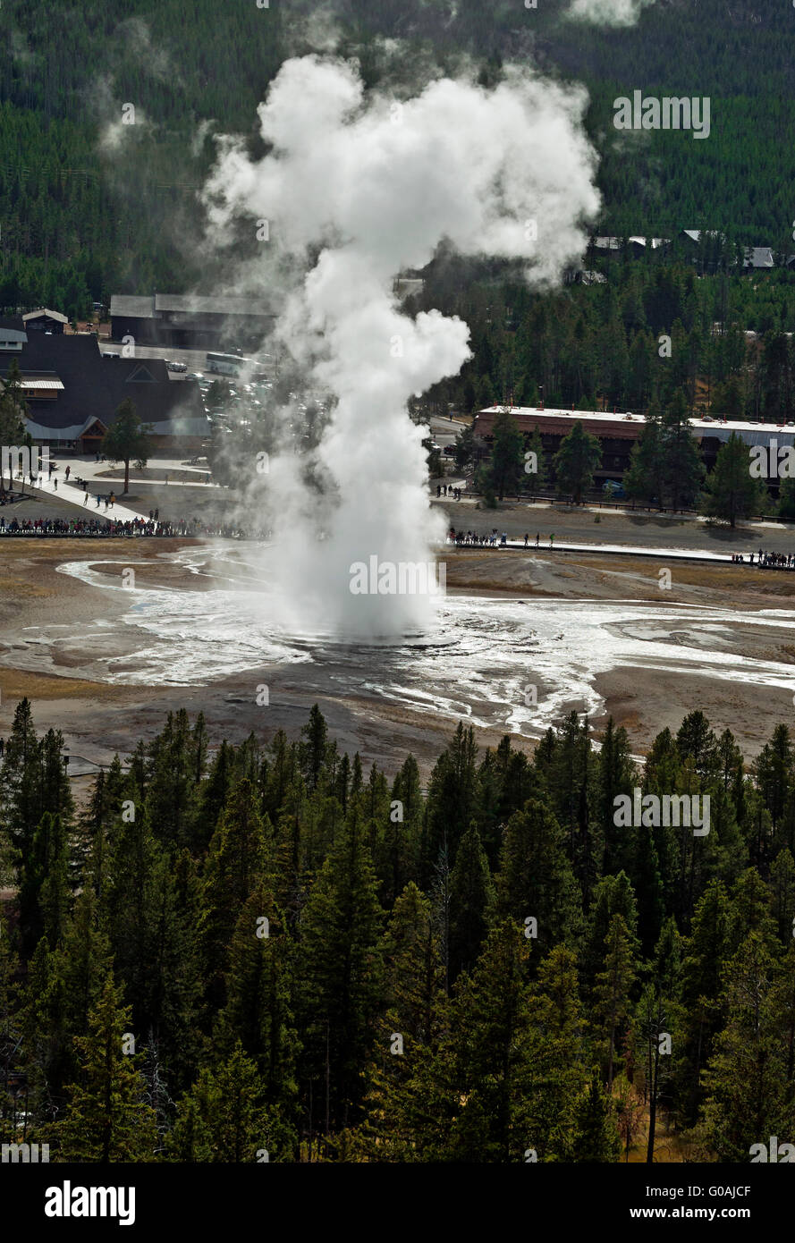 WY01600-00...WYOMING - geyser Old Faithful dal punto di osservazione in Upper Geyser Basin del Parco Nazionale di Yellowstone. Foto Stock