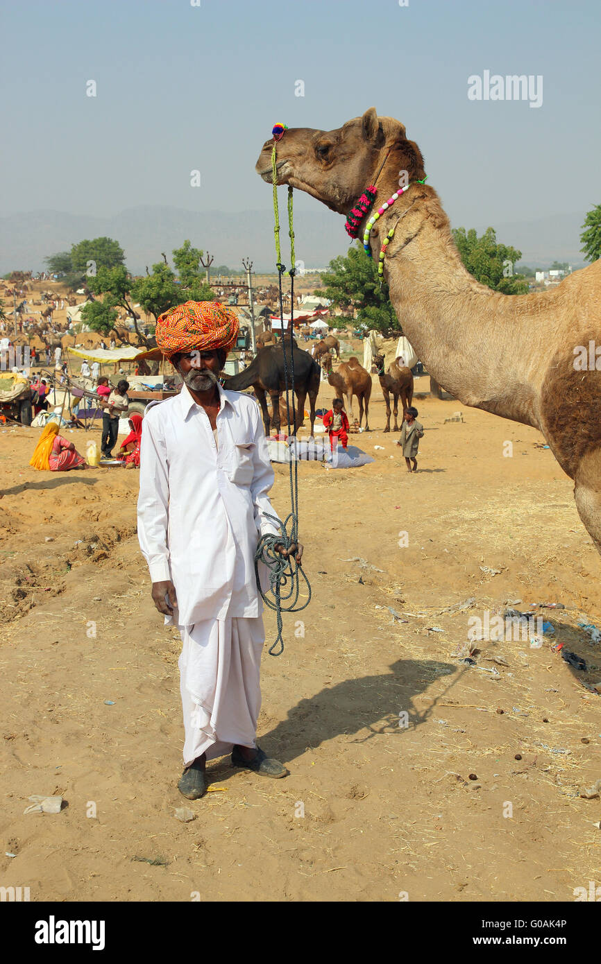 Pushkar Camel Fair - venditore di cammelli durante il festival Foto Stock