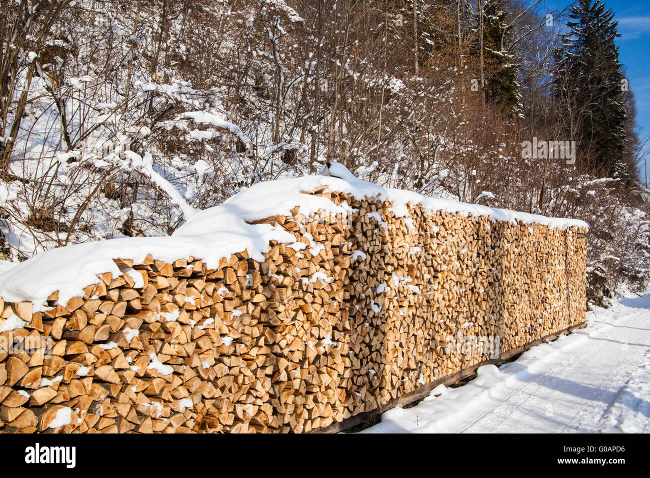 Catasta di legna da ardere. firewoods innevati in inverno forest Foto Stock