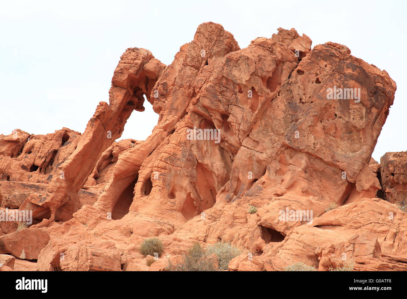 La Valle del Fuoco Elephant Rock Foto Stock
