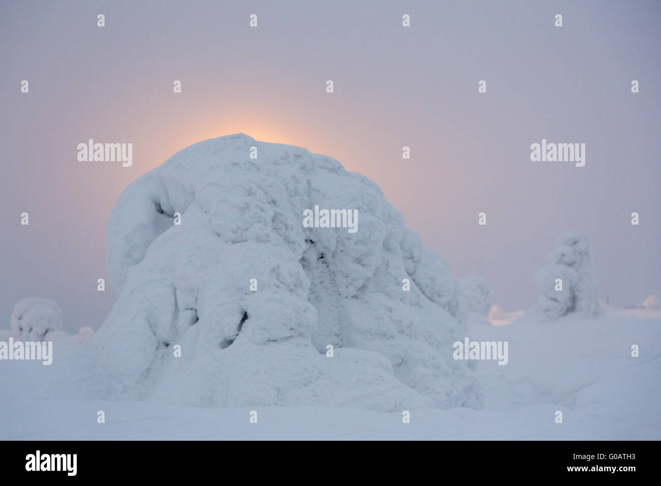 Coperte di neve pino nella parte anteriore del faro, Foto Stock