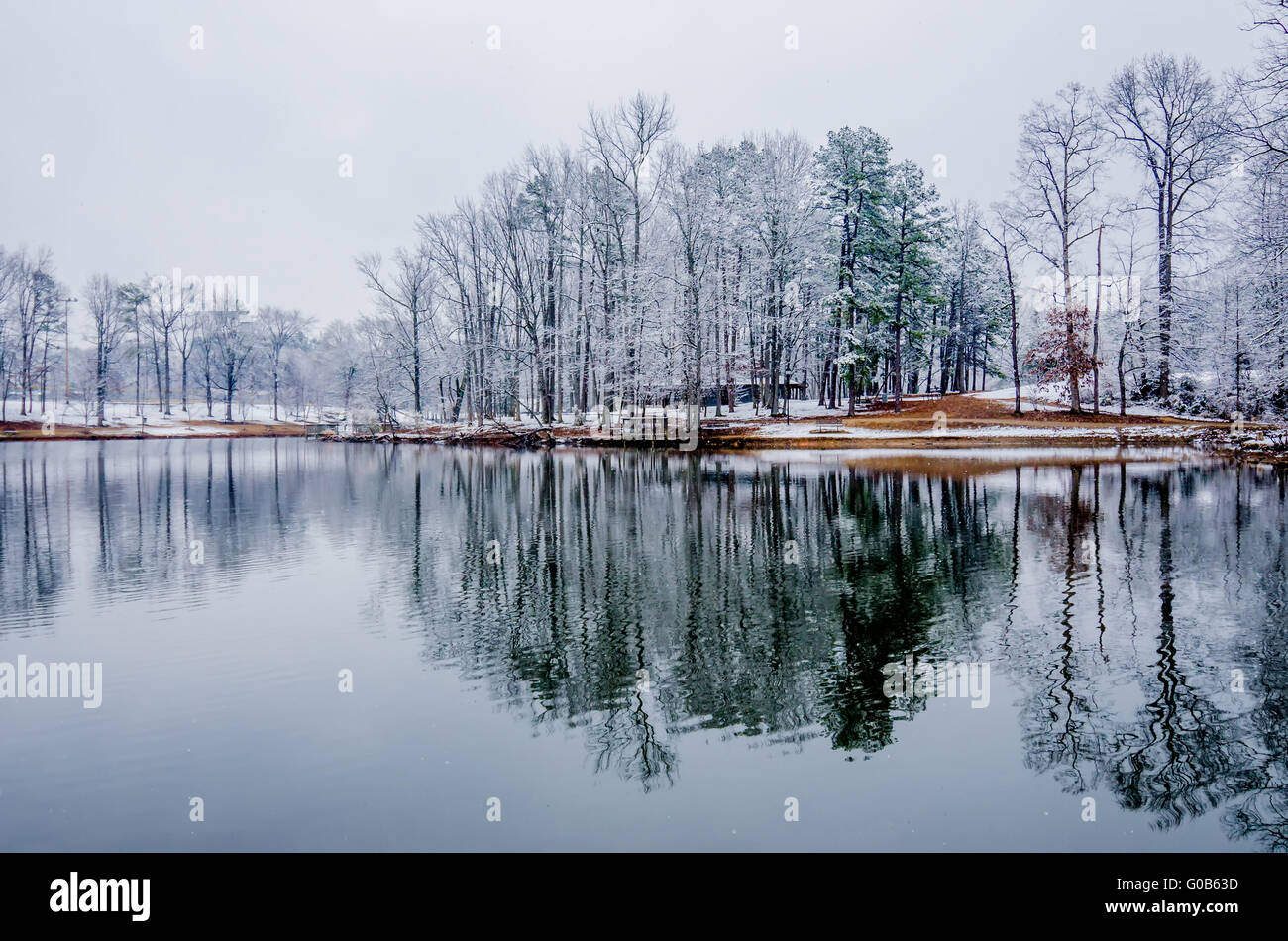 Albero linea riflessi nel lago durante il periodo invernale tempesta di neve Foto Stock