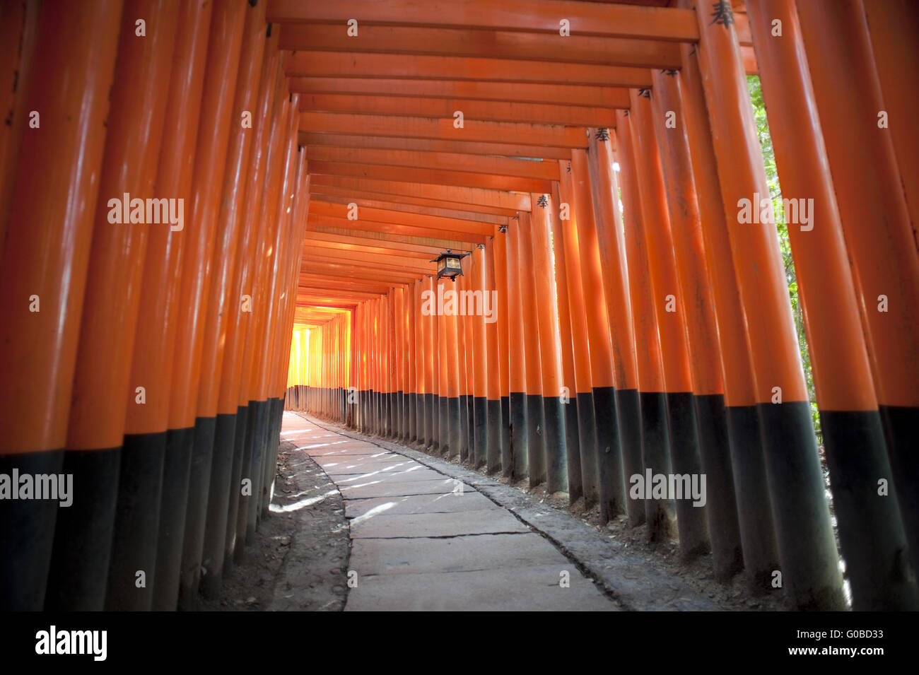 Tunnel di red torii gates Foto Stock