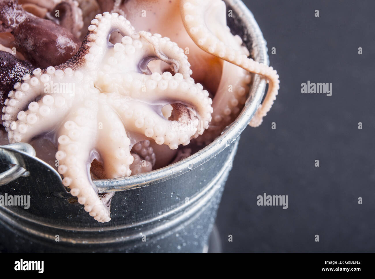 Il polpo su sfondo nero Foto Stock