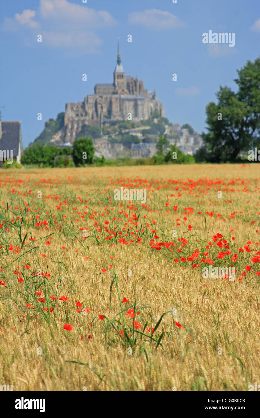 Mont Saint Michel, Francia Foto Stock