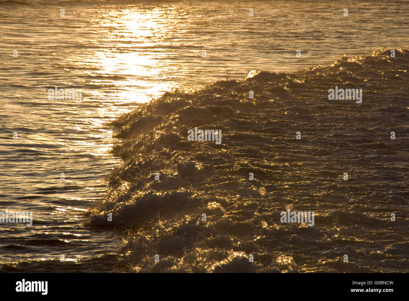 Luce dorata sul surf Foto Stock