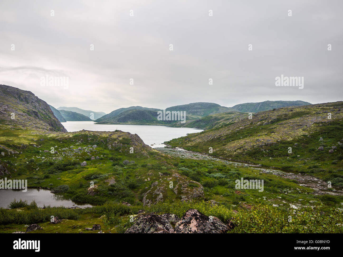 Nord paesaggio polare con il lago in estate Foto Stock