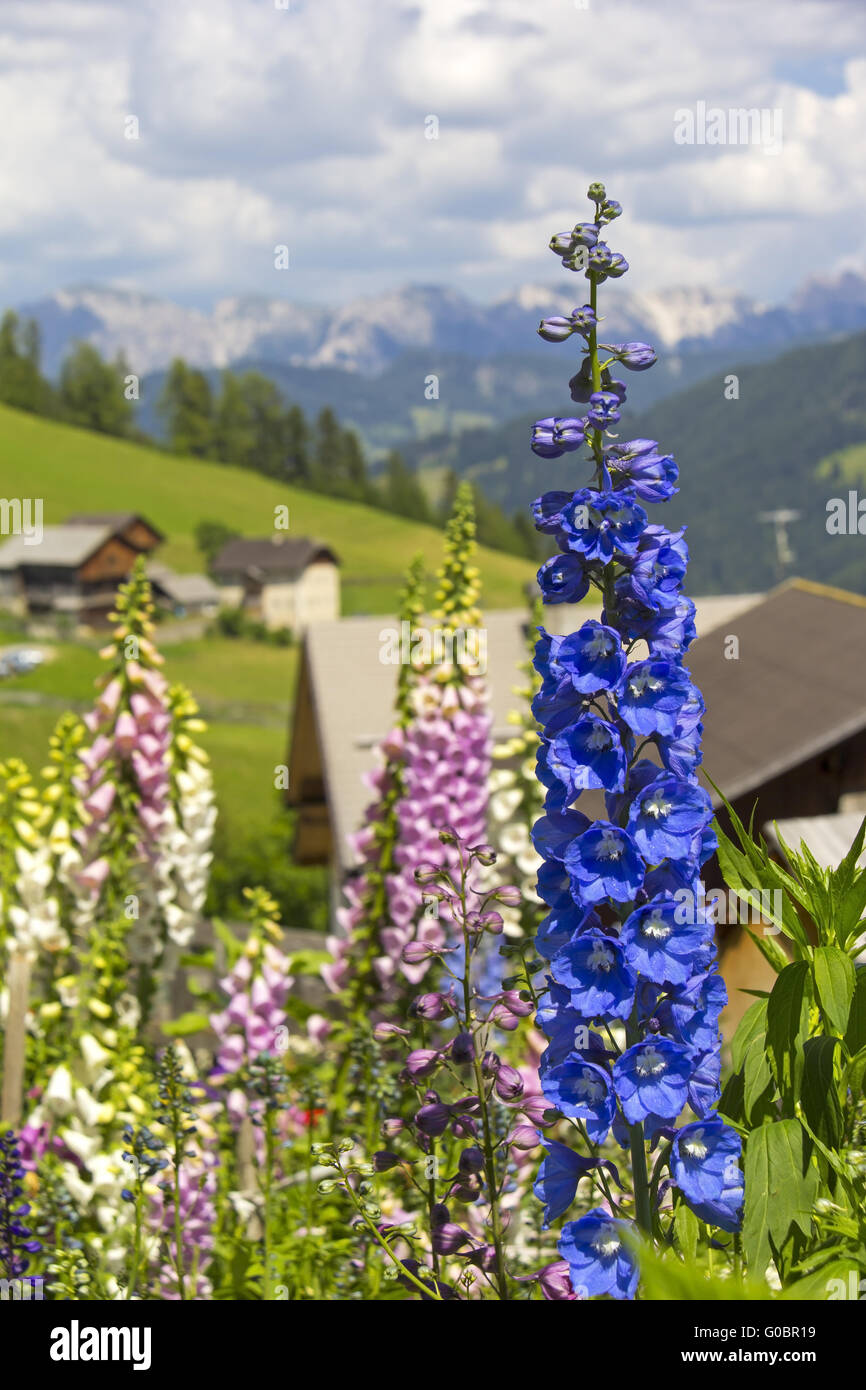 Bellissimo giardino cottage in un villaggio Foto Stock