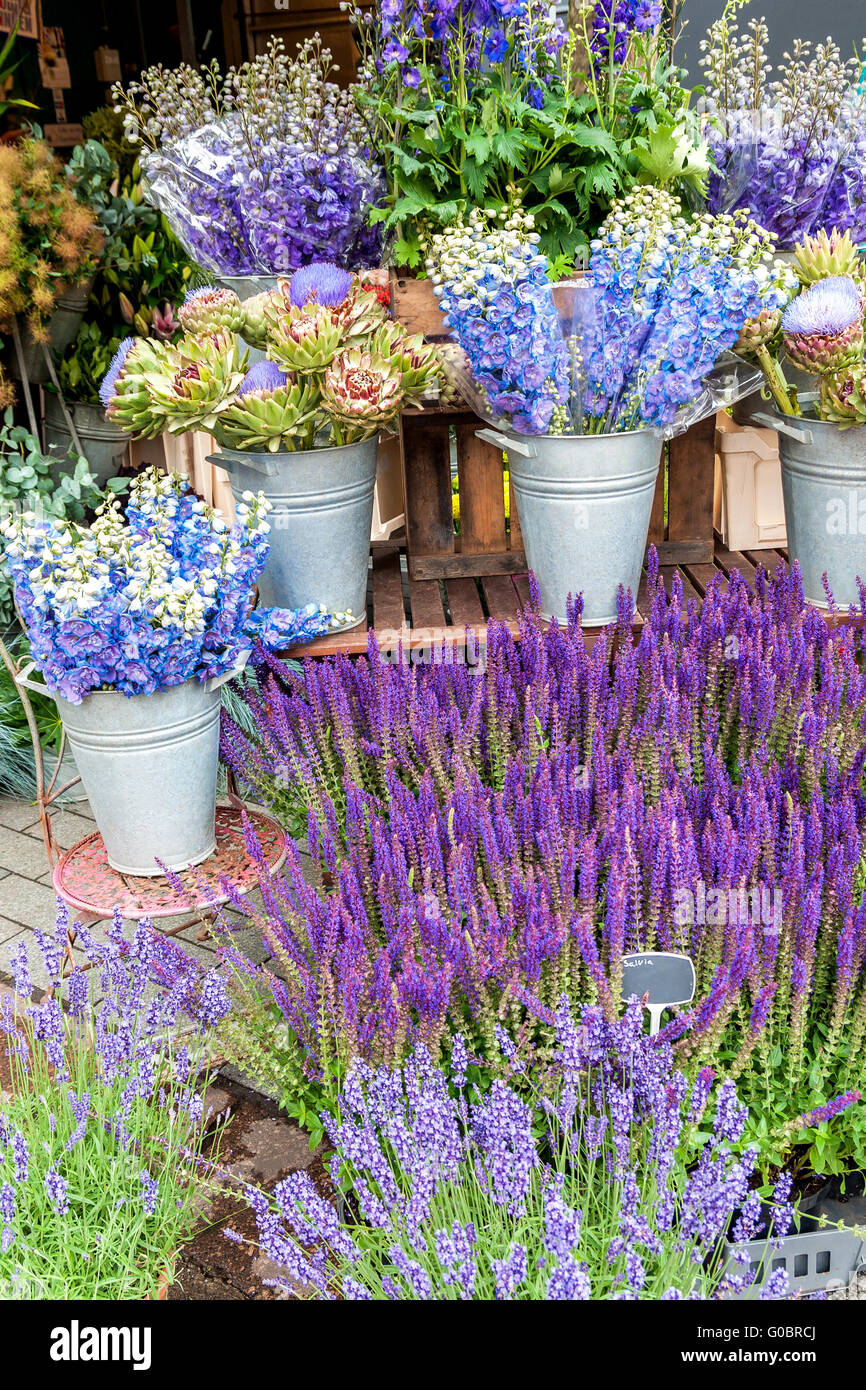 Lussureggianti fiori in blu e viola in un mercato Foto Stock