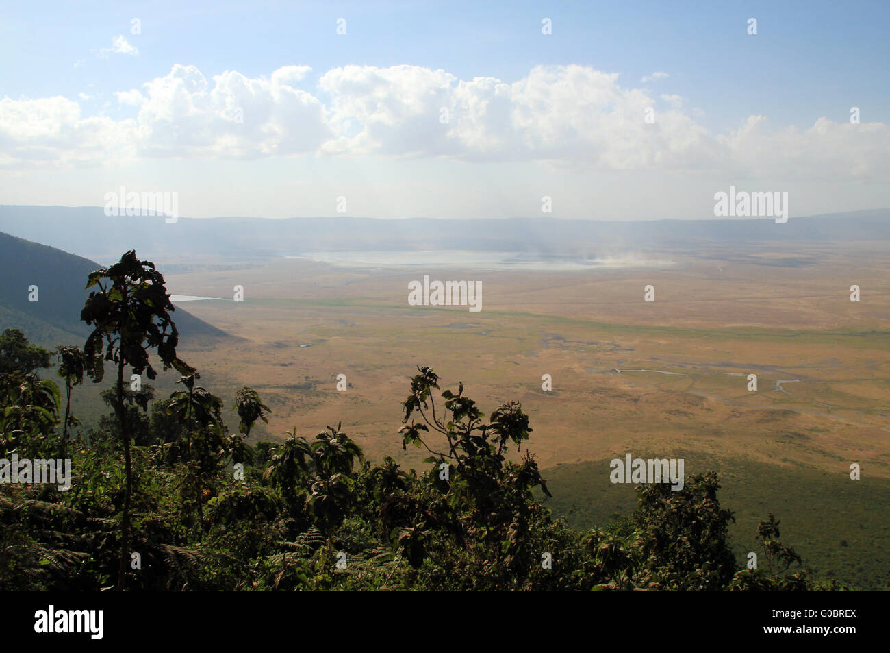 Cratere di Ngorongoro Foto Stock