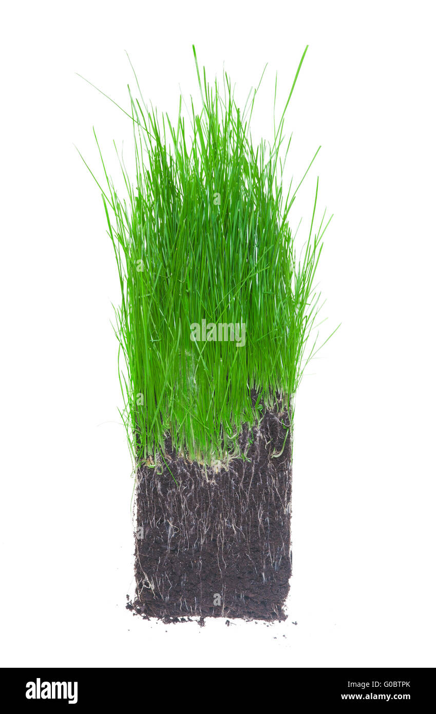 pezzo di terra Foto Stock