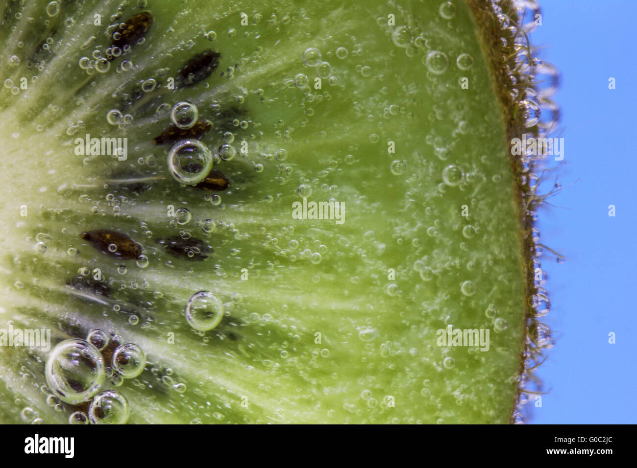 Primo piano di una fetta di kiwi coperto di bolle di acqua contro un aqua sfondo blu Foto Stock
