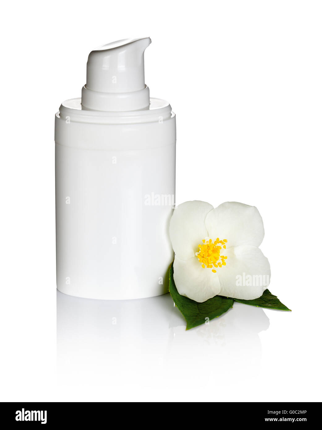 Gelsomino crema Foto Stock