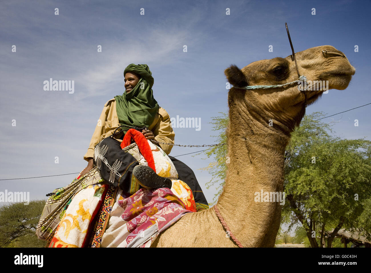 Touareg. Niger Foto Stock