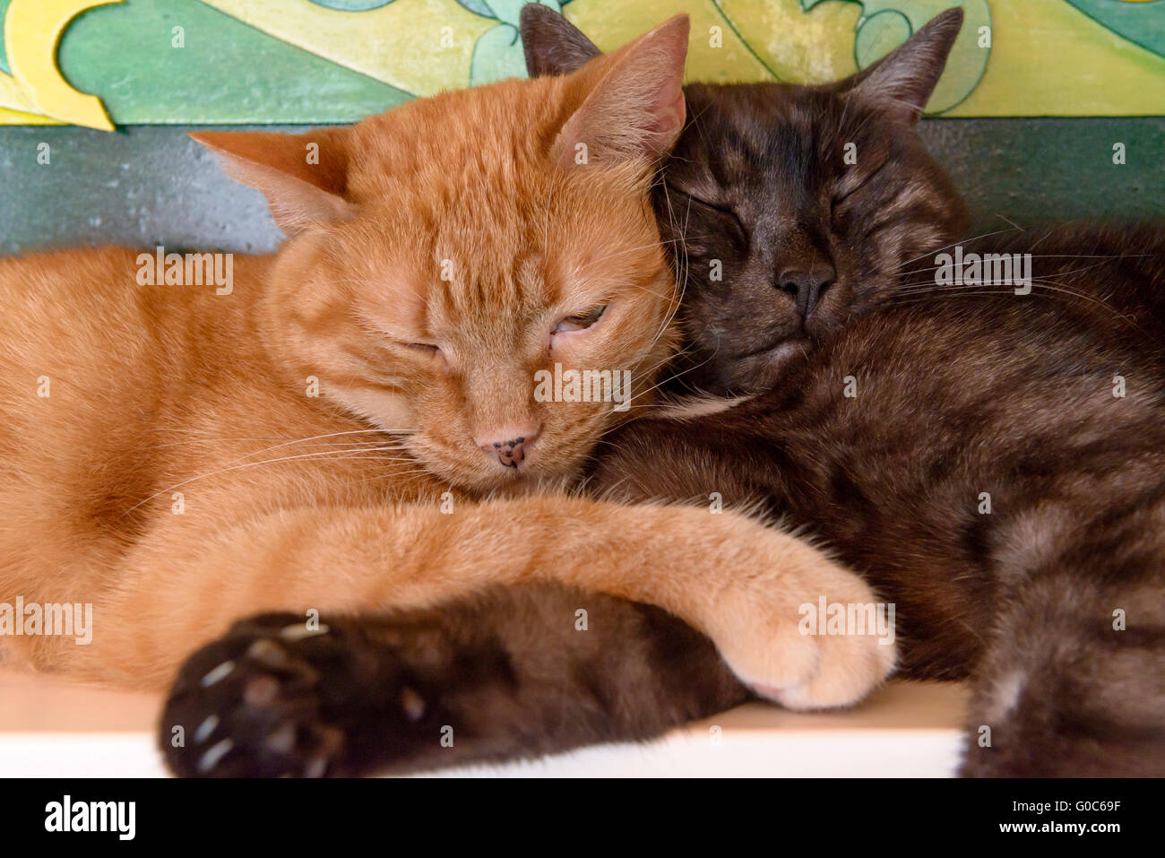 I veri amici si avvolge ciascun altro Foto Stock