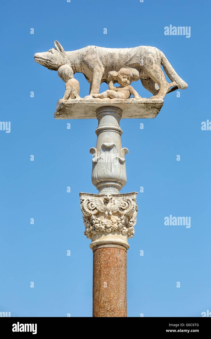 Una lupa lattante lattanti Romolo e Remo. Siena in Italia Foto Stock