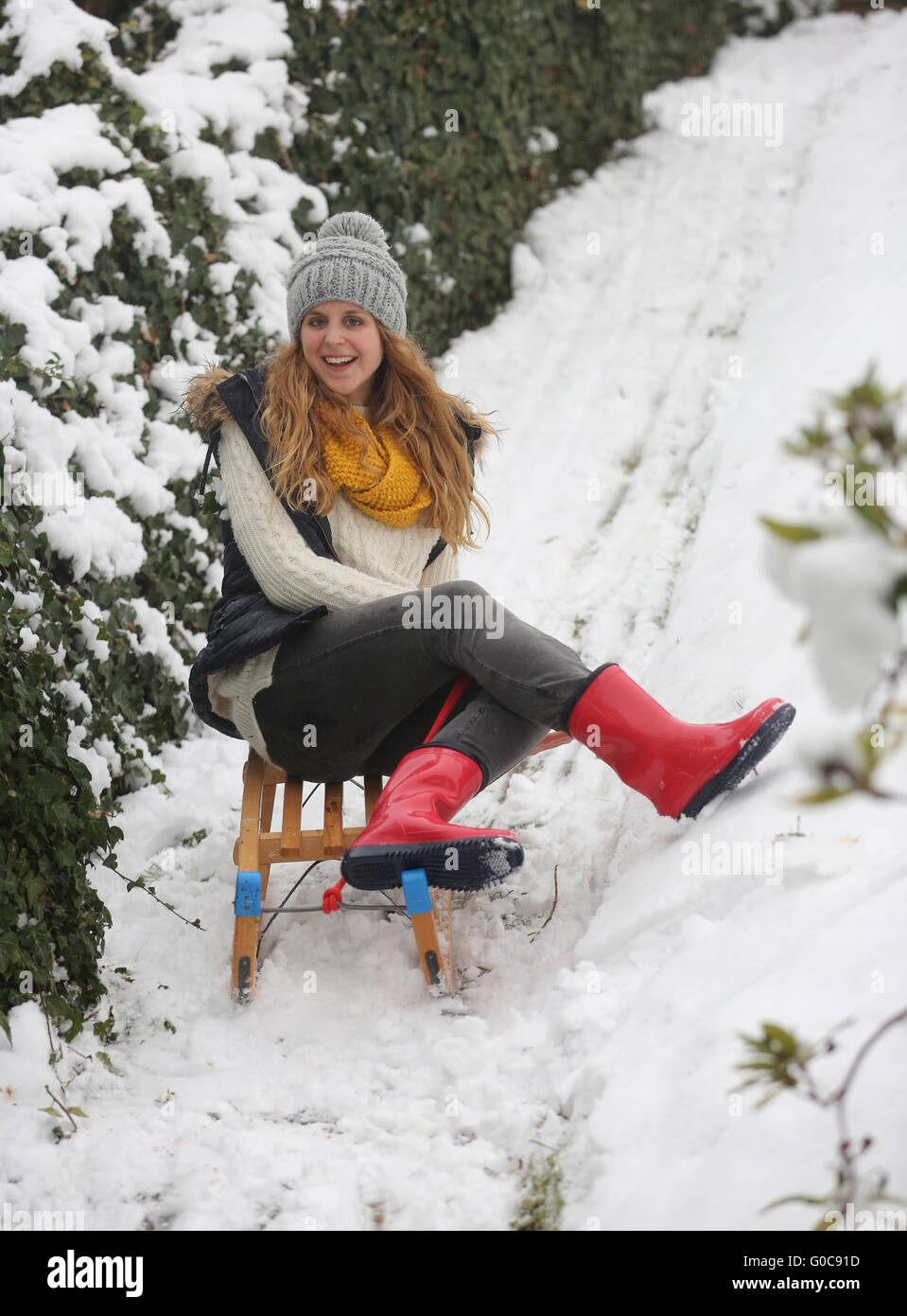 Corsa in slitta Foto Stock