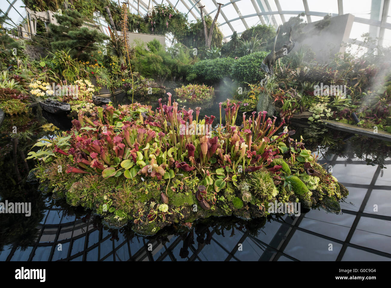 Il mondo perduto nella foresta nuvolosa Dome, giardini dalla Baia di Singapore Foto Stock