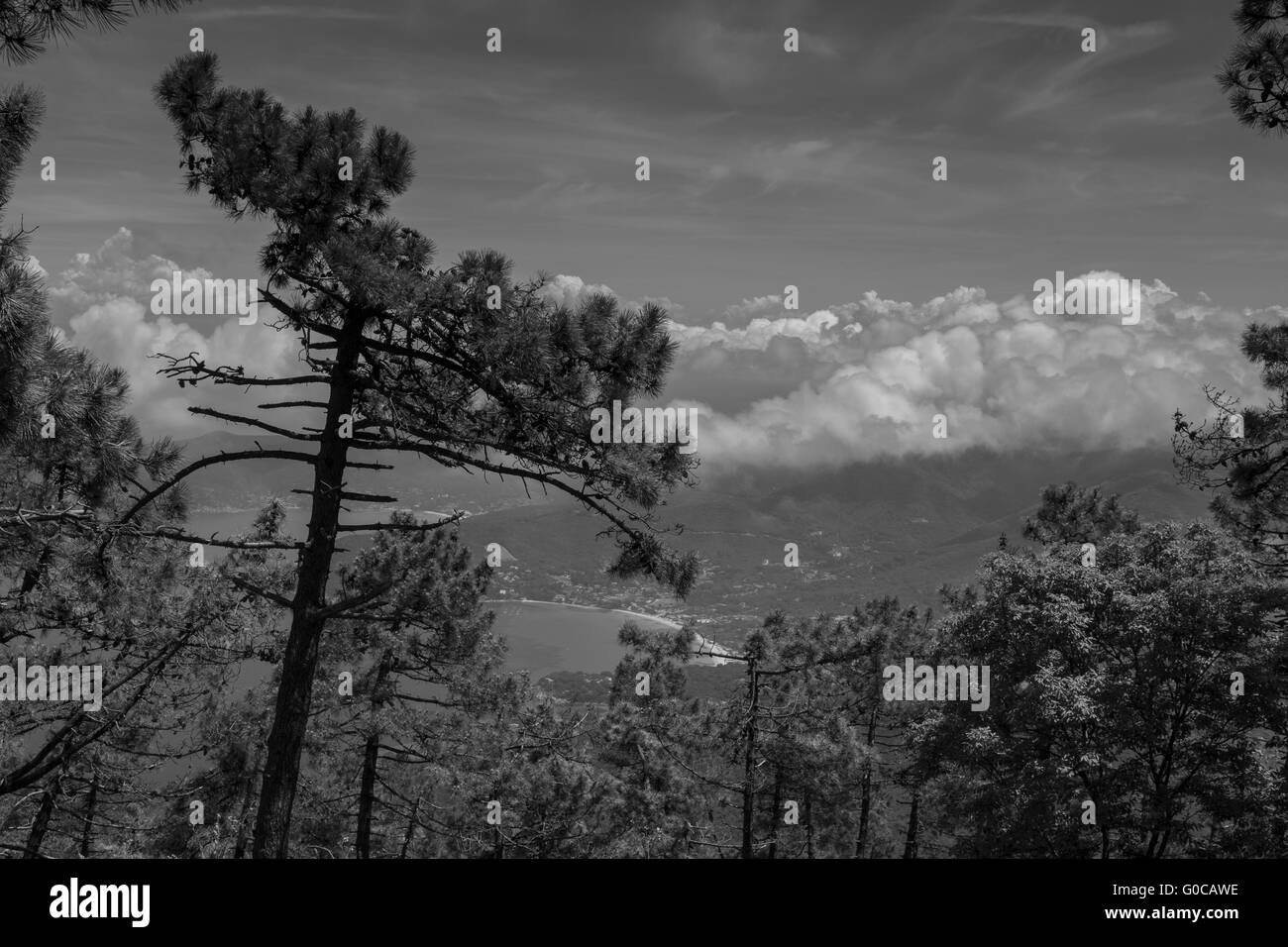 Vista dal Monte Perone, Isola d'Elba, Toscana Foto Stock