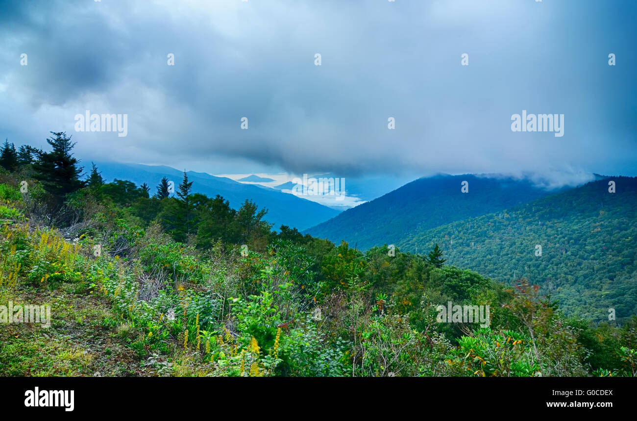 Blue Ridge Parkway Parco Nazionale di Sunrise Scenic Montagne Paesaggio estivo Foto Stock